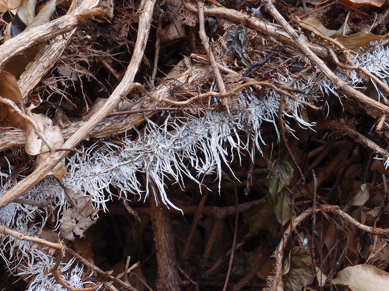 2019-07-21 foto-grafisches Statement I